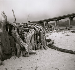 The Great Driftwood Civilization
