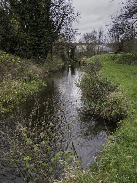 River Wey view along Bernelli's Walk