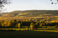 Sassenay et les Hautes Côtes de Bourgogne
