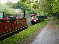 canal boat colours in the green