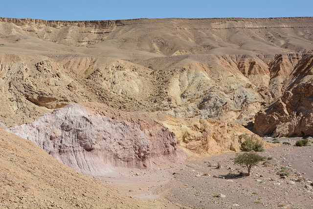 Israel, The Mountains of Eilat, Pink Chalk on the Wall of the Red Canyon