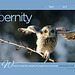 ipernity homepage with #1425