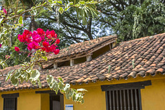 Hacienda San Pedro Alejandrino