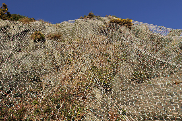 Cliff protection and gorse
