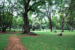 A View of Lalbagh