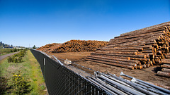 Timber yard