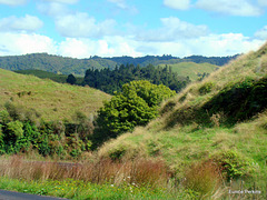 Rural Hills.