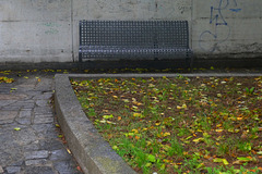 autumnal bench