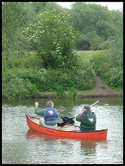 canoeists at Aston's Eyot