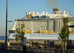 Cruises: agents of pollution