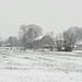 Snowflakes swirl down over the fields, colouring today's World in white and black