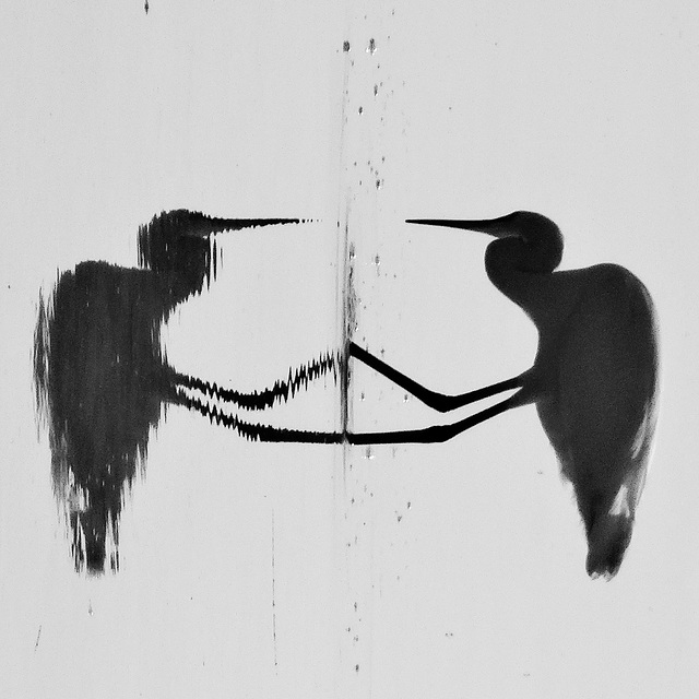 Rorschach Test (What do you see?) (PiP)