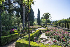 Jardines del Partal. Alhambra de Granada