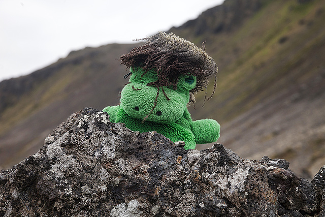 5/50: Sabu on lava with wooly moss