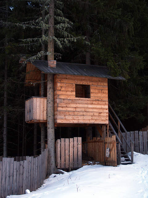 Alpine Wooden Pile House