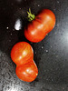 weird tomatoes