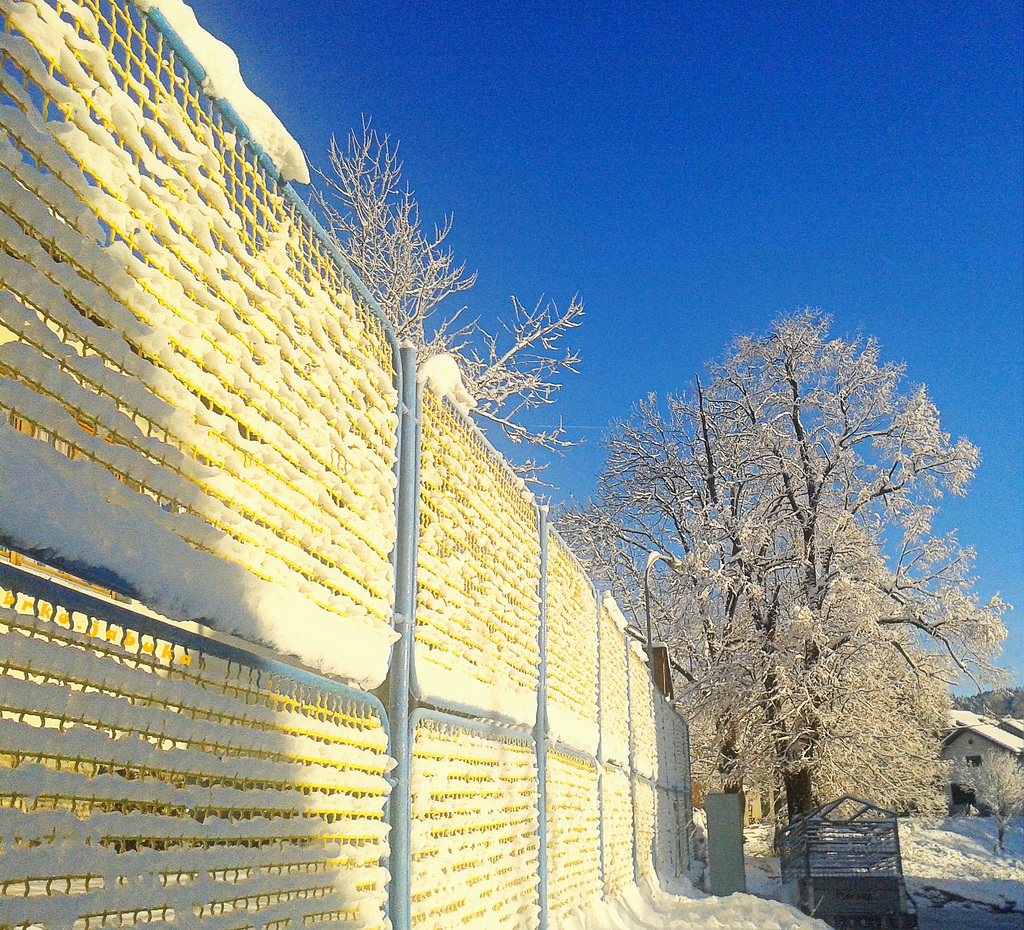 Happy snowy fence