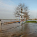Überflutete Rheinpromenade (Duisburg-Ruhrort) / 8.02.2020