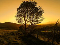 Cumbrian Sunset (HFF Everyone)