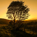 Cumbrian Sunset (HFF Everyone)