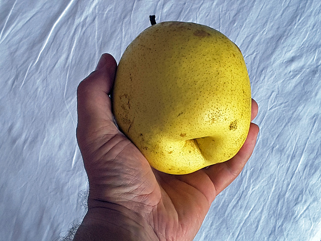 it isn't an apple but a pear !