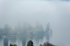 Nebel über dem Untersee - Blick vom Schloss Arenenberg zum Hafen Mannenbach (© Buelipix)