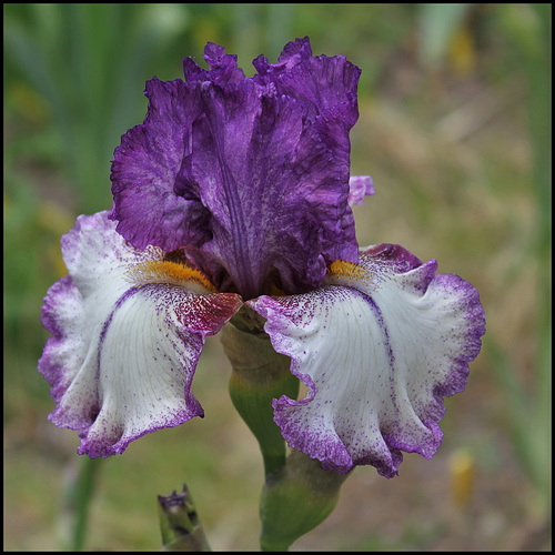 vos plus belles photos 2015 38439944.e25a4570.500
