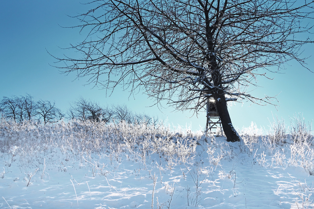 Eine Schneelandschaft im Gegenlicht - A snowy landscape in backlight