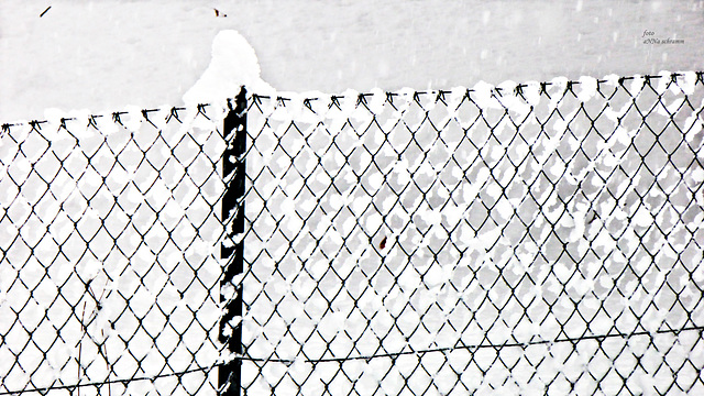 Snow-fence (PiP)