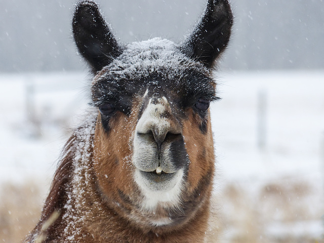 Remembering a winter day