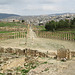 Jerash : le forum ovale.