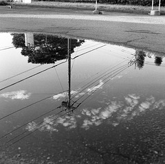 Reflection in the puddle