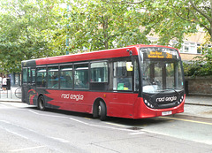 Red Eagle Buses 50113 (YX60 BZO) in St. Albans - 8 Sep 2023 (P1160260)