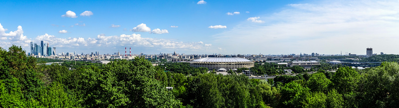 Moscow panoramic view (PiP)