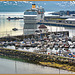 Tromsø : il porto nel fiordo -