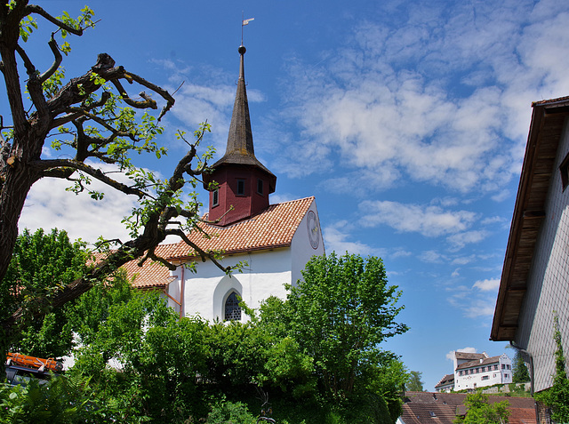 Waltalingen ZH, Reformierte Kirche und Schloss Schwandegg