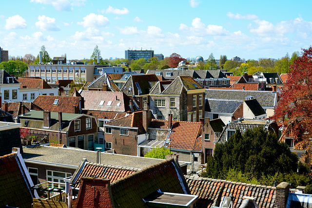 View of Leiden from the Kamerlingh Onnes Building