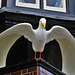 seagull pub, 13 broad st., portsmouth