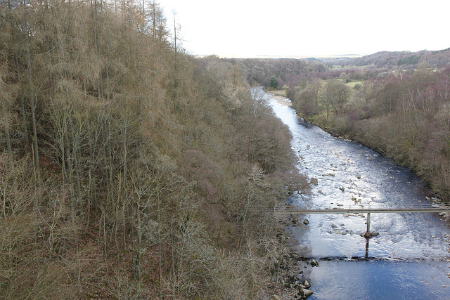 View From The Lambley Viaduct