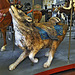 Lucky Dog – Looff Carousel, Eldridge Park, Elmira, New York
