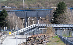 John Day dam (#0351)