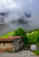 Picos de Europa (Asturias)