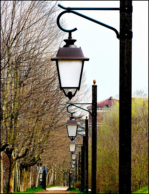 Moncalieri : Un viale nel parco con tutti i lampioni in fila - SPC 5/ 2019 "effetto domino" v.1