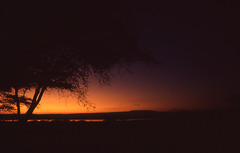 African sunset, Baringo