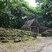 Guatemala, Tikal, Ruins of Mayan Construction and Mayan Artifact under Protective Canopy