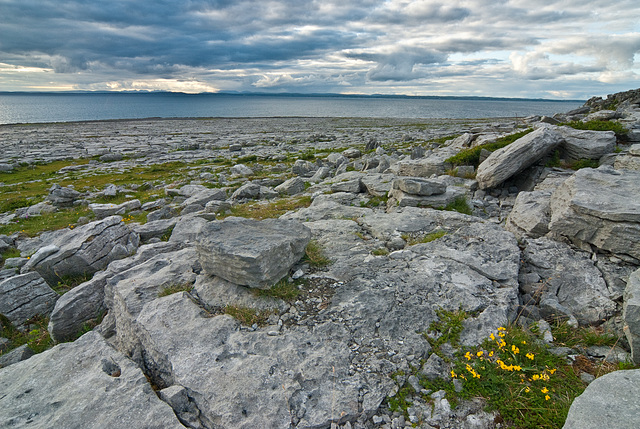 The Burren, Ireland 2009