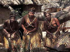 musicians in Botswana