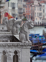 Marble lions