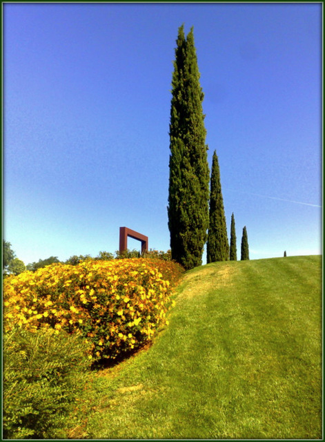 Parque de Juan Carlos I