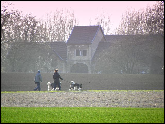 Castle Farm  "De Bongerd "
